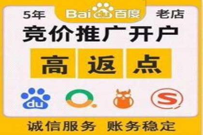 竞价代运营在SEM推广中的创新应用